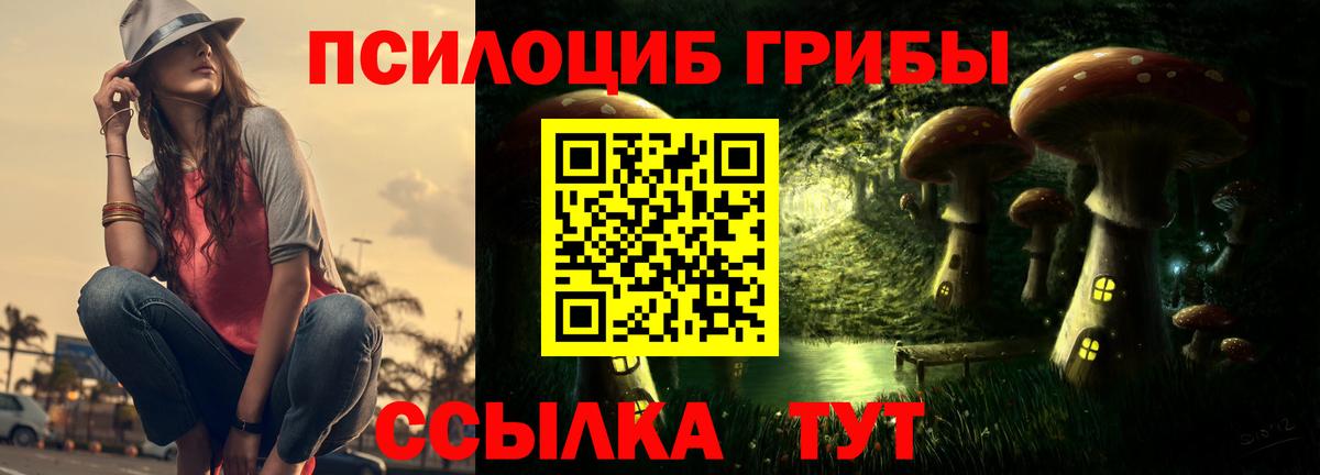 Смоленск  Галлюциногенные грибы GOLDEN TEACHER  Вход с VPN  Галлюциногенные грибы ЛСД 